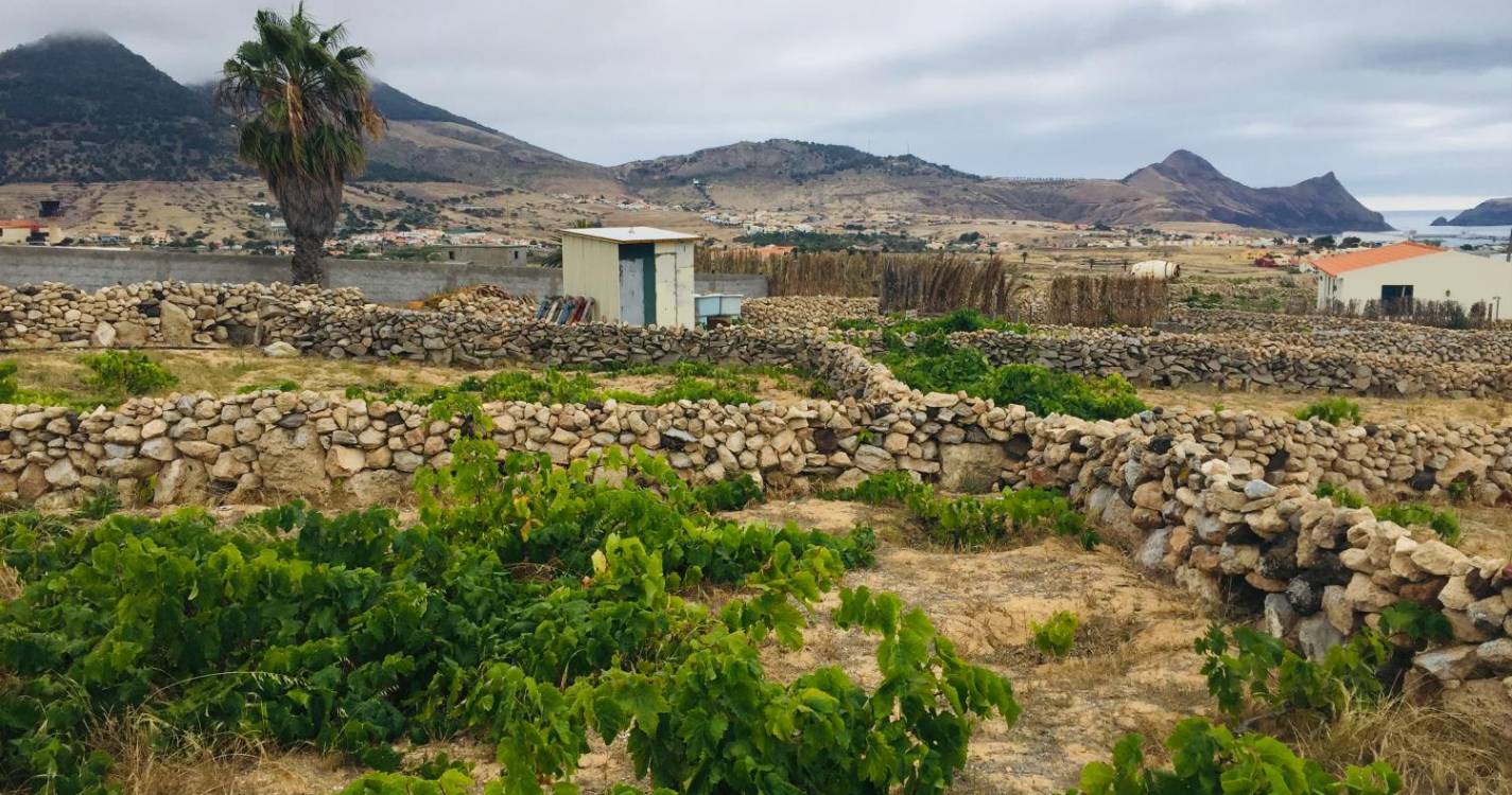 Associações acertam parceria para escoar produtos do Porto Santo