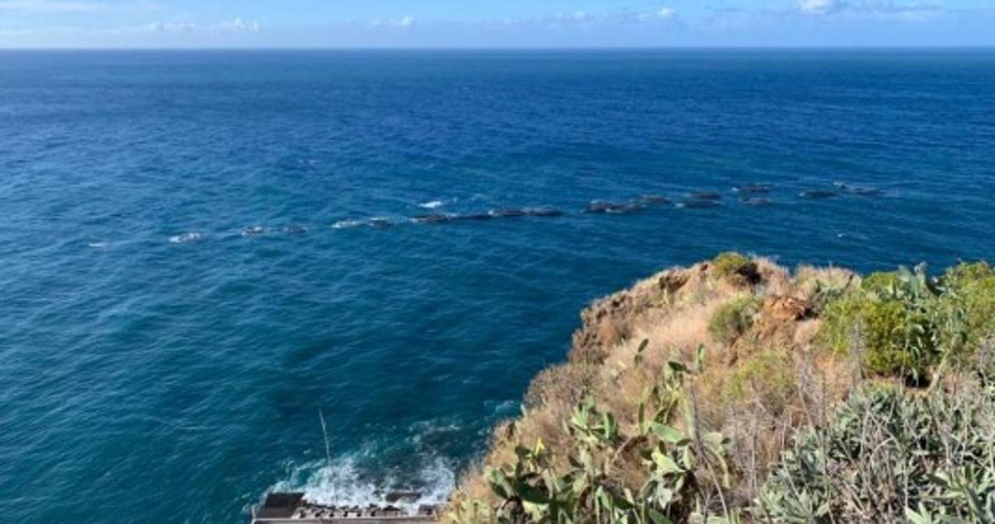 Tempestade deslocou jaulas da Ribeira Brava para o cais (com fotos)