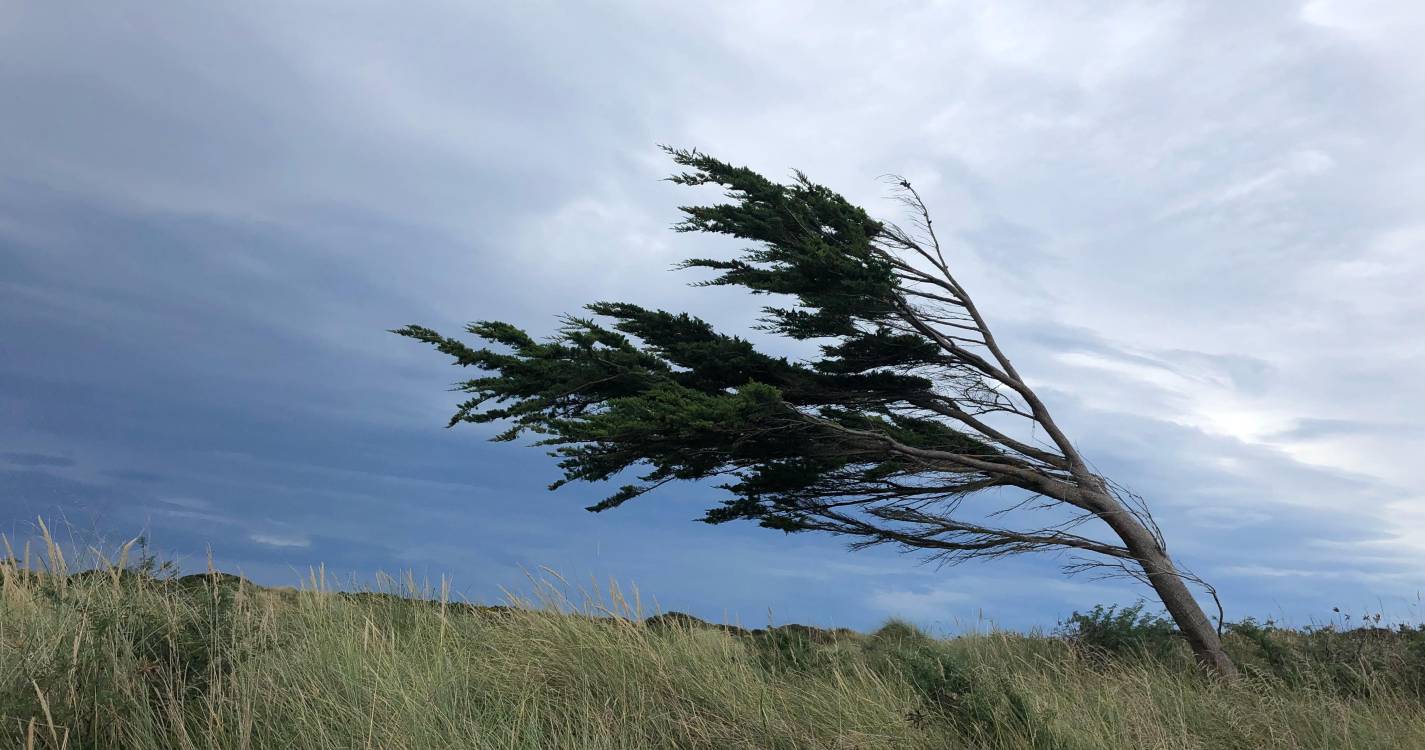 IPMA prevê vento moderado a forte na Madeira