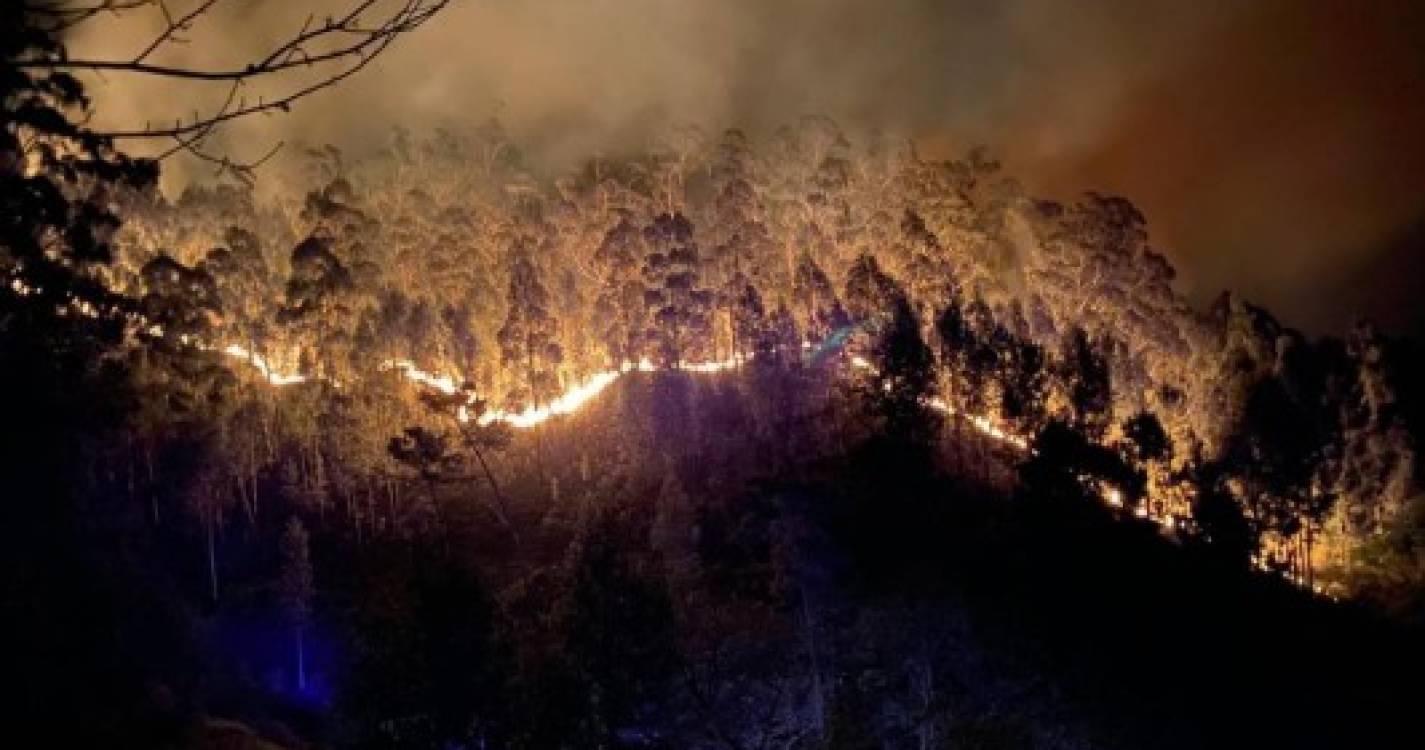 Grande incêndio no Ribeiro Serrão, Águas Mansas, mobiliza 18 bombeiros e PSP (com fotos)