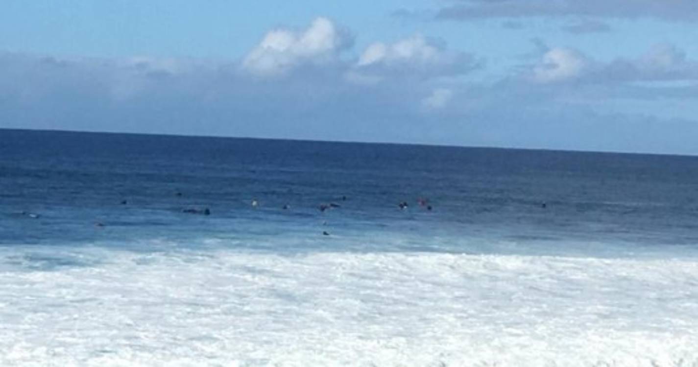 Jardim do Mar atrai surfistas (com vídeo e fotos)