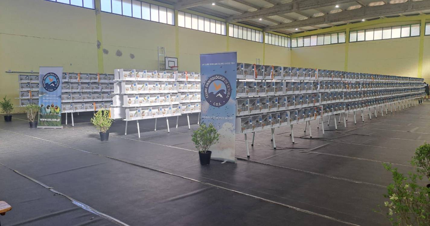 Associação Ornitológica da Madeira conquista 38 prémios no Internacional do Sado