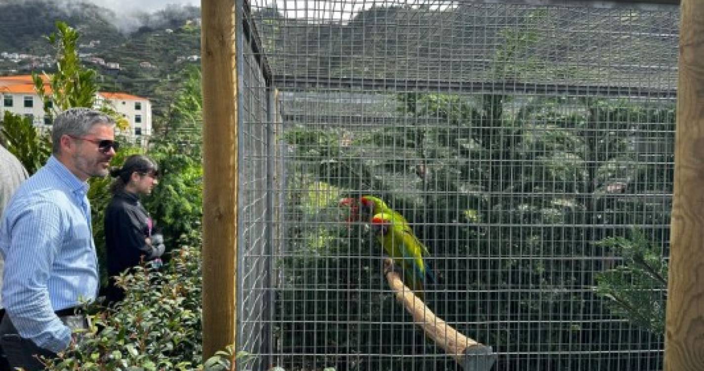 Jardim com dezenas de aves exóticas abre no Campanário até ao verão (com fotos)