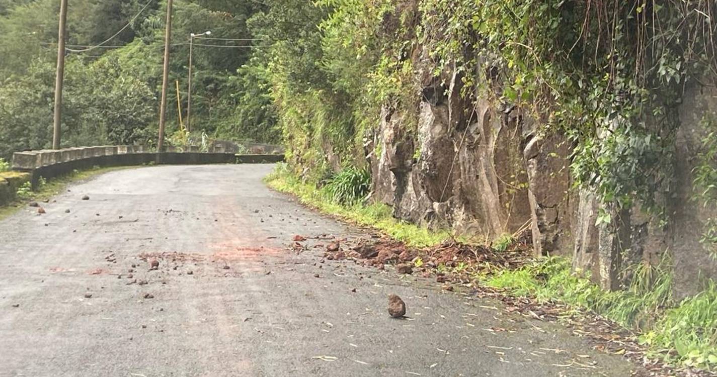 Árvore caída atrapalha circulação automóvel na Fajã da Nogueira
