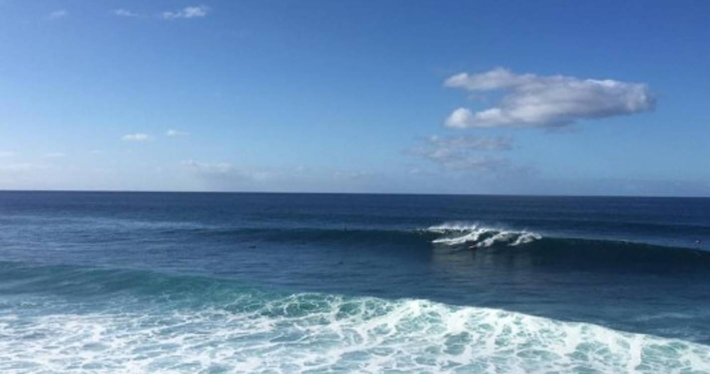 Jardim do Mar atrai surfistas (com vídeo e fotos)