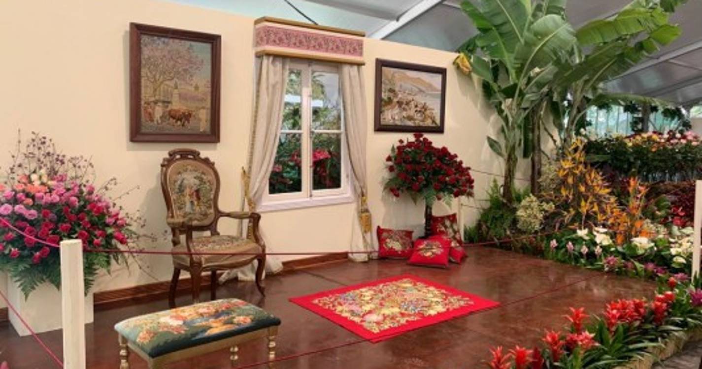 Avenida Arriaga transformada numa palete de cores que não deixa ninguém indiferente (com fotos)