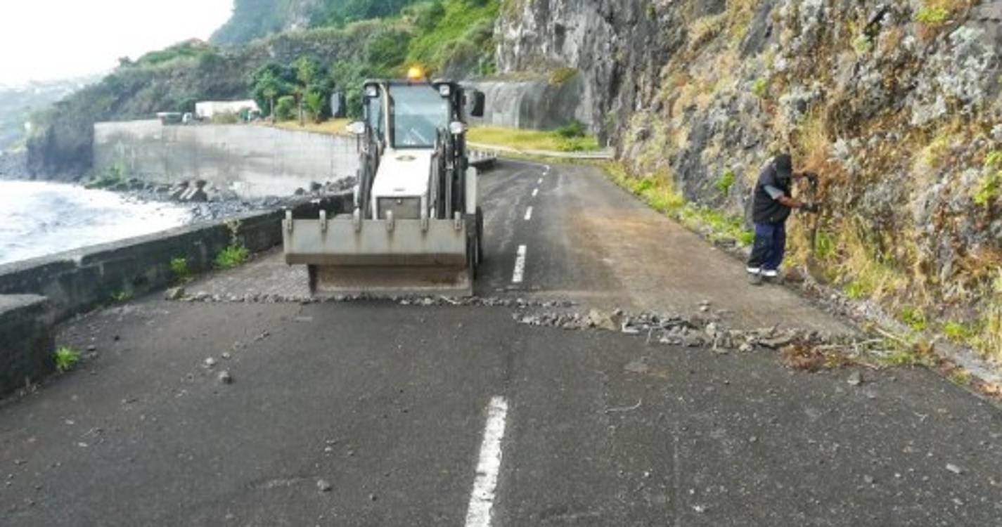Antiga estrada regional no Seixal alvo de limpeza (com fotos)