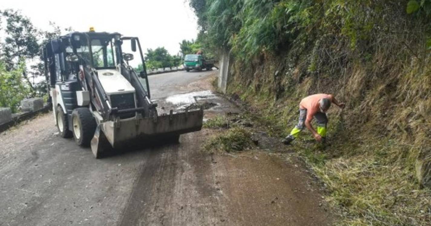 Antiga estrada regional no Seixal alvo de limpeza (com fotos)