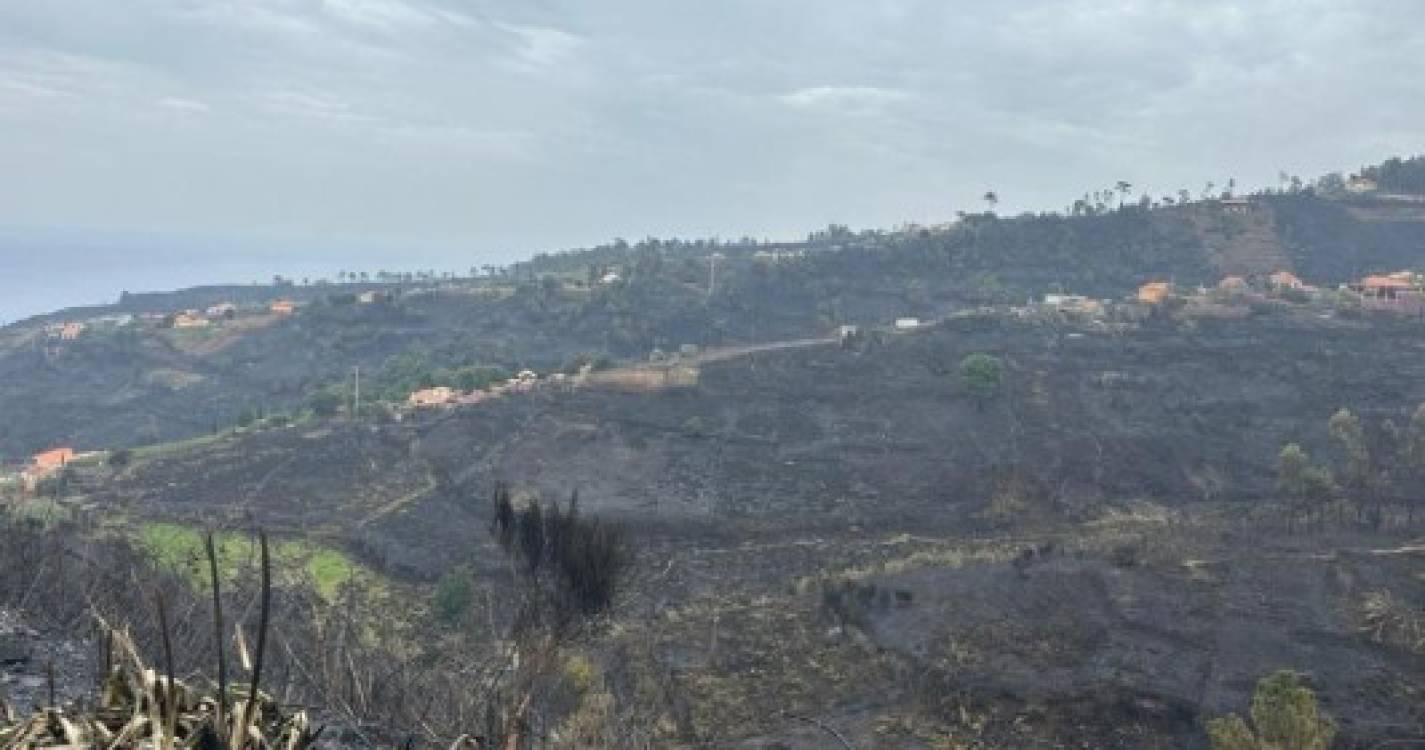 Imagens mostram cenário de destruição deixado pelas chamas na Ponta do Pargo