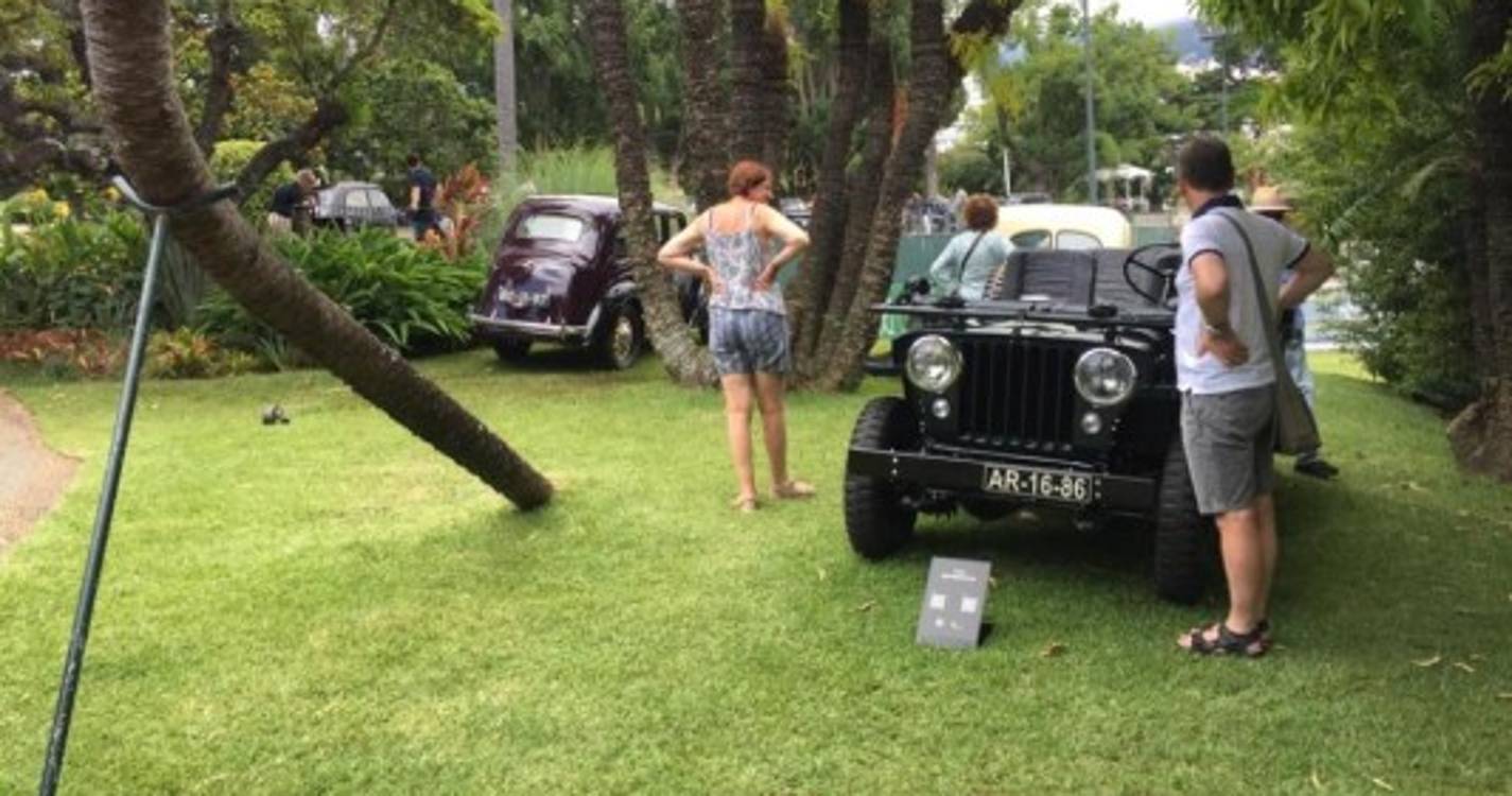 Veja as fotos da exposição 'Clássicos na Magnólia'
