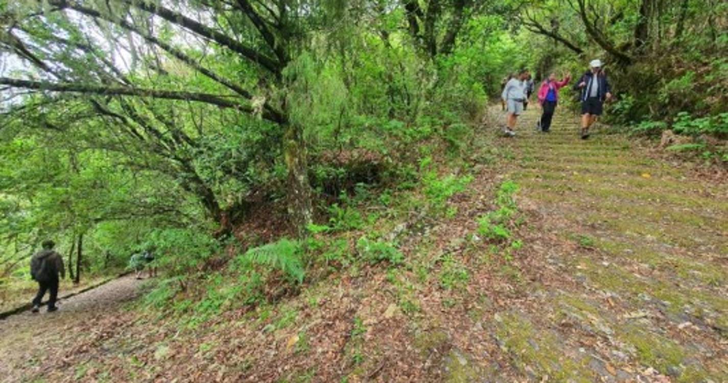 Caminhada pelo Caminho Real 24 com workshop de fotografia junta 30 participantes. Veja as imagens