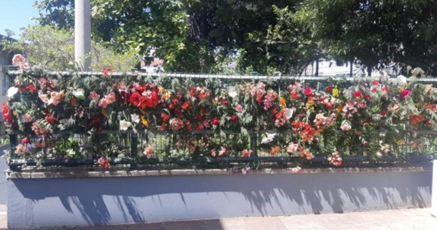 Estreito de Câmara de Lobos celebra Festa da Flor (com fotos)