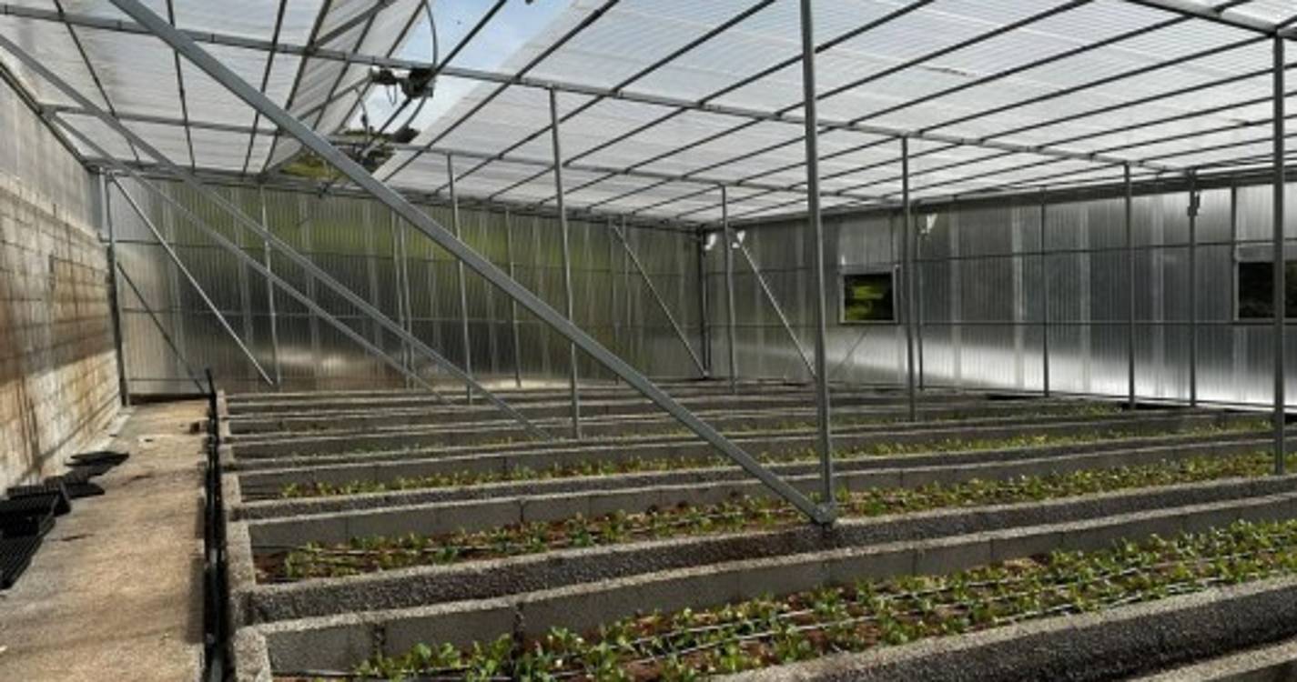 Futuro da agricultura passa pela incorporação de tecnologias nas explorações