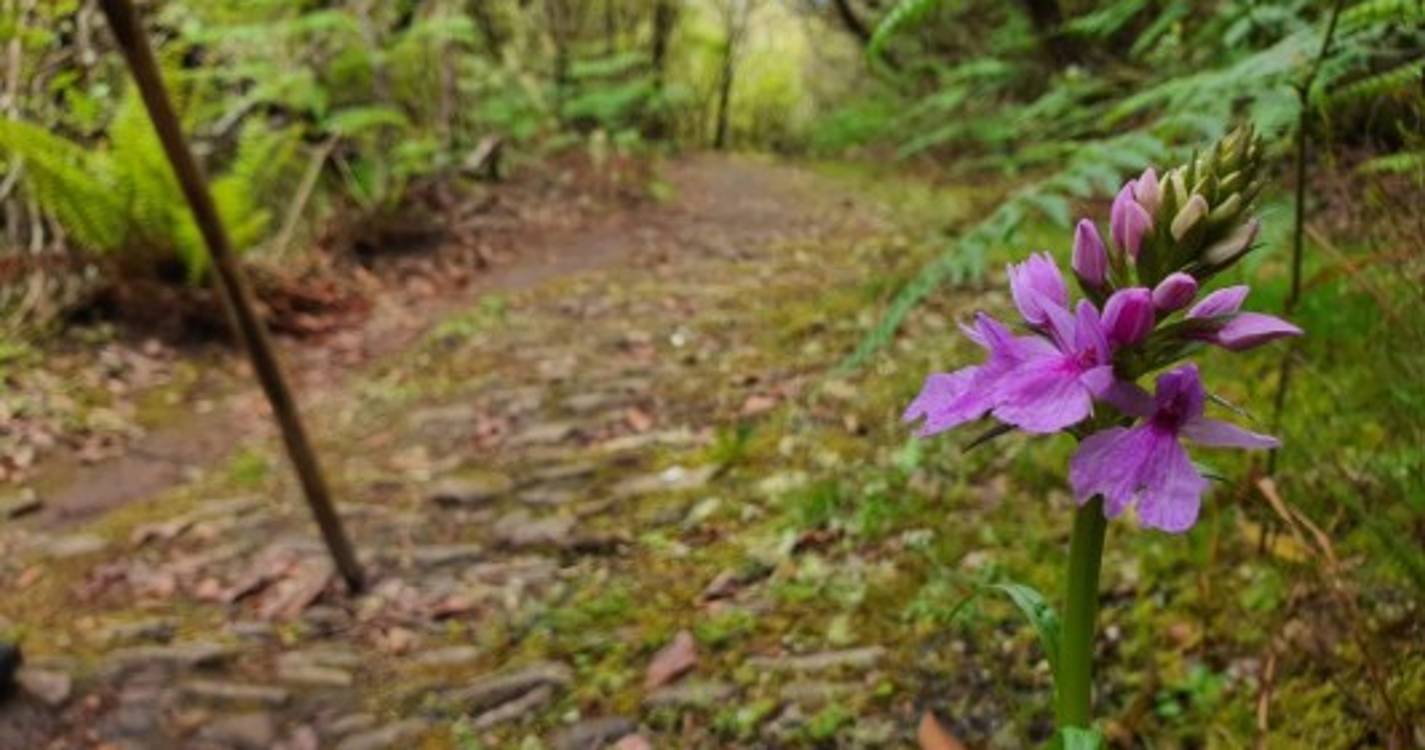 Caminhada pelo Caminho Real 24 com workshop de fotografia junta 30 participantes. Veja as imagens
