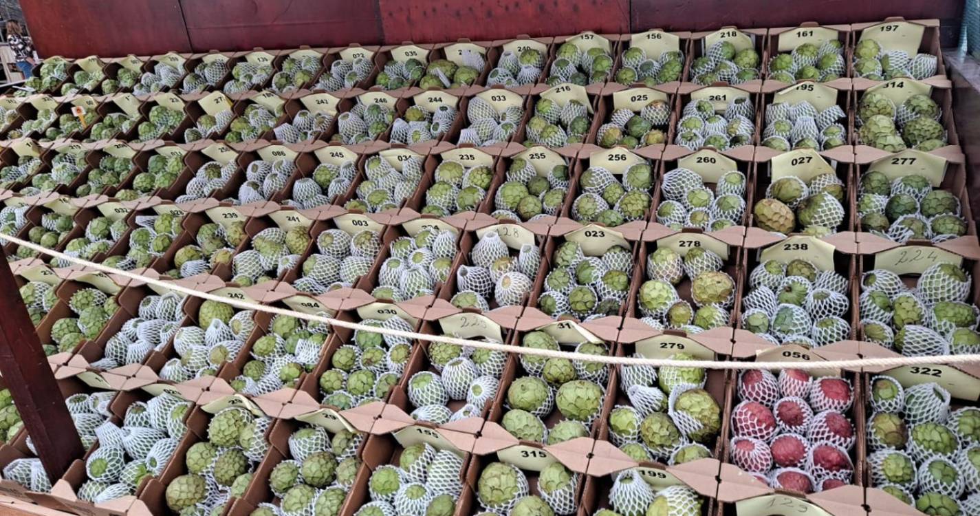 Rafaela Fernandes destaca apoio técnico prestado aos produtores de anona