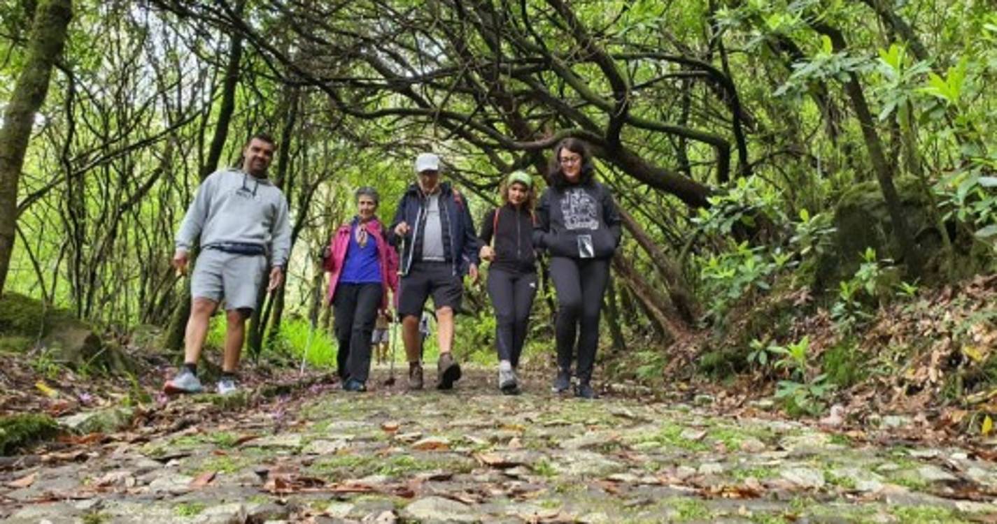 Caminhada pelo Caminho Real 24 com workshop de fotografia junta 30 participantes. Veja as imagens