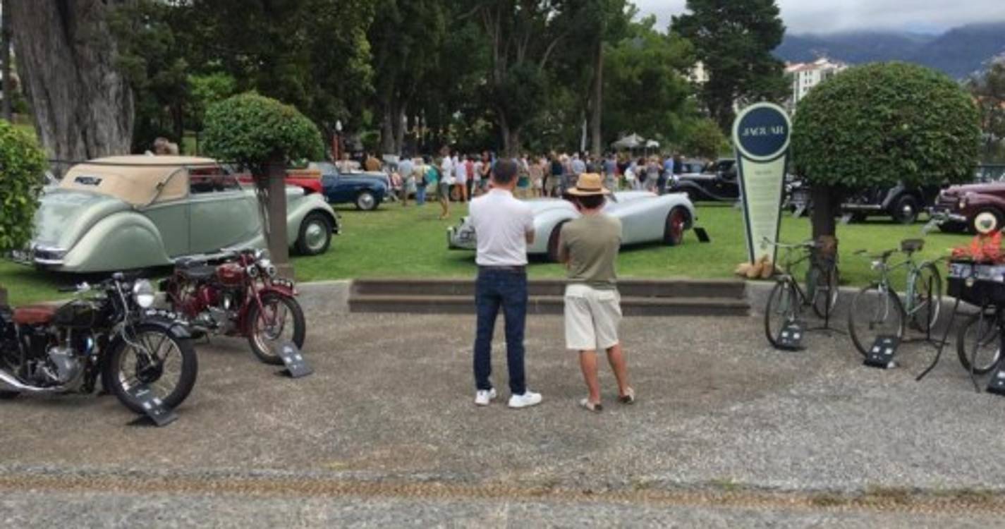 Veja as fotos da exposição 'Clássicos na Magnólia'