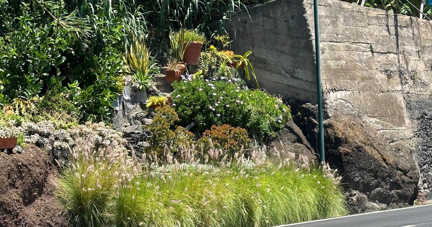 IFCN expõe “bons resultados” no controlo de espécie invasora