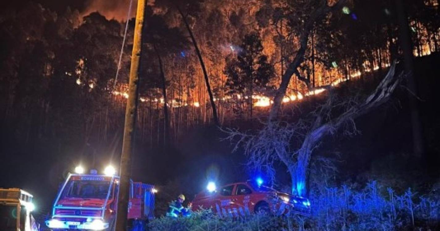Grande incêndio no Ribeiro Serrão, Águas Mansas, mobiliza 18 bombeiros e PSP (com fotos)