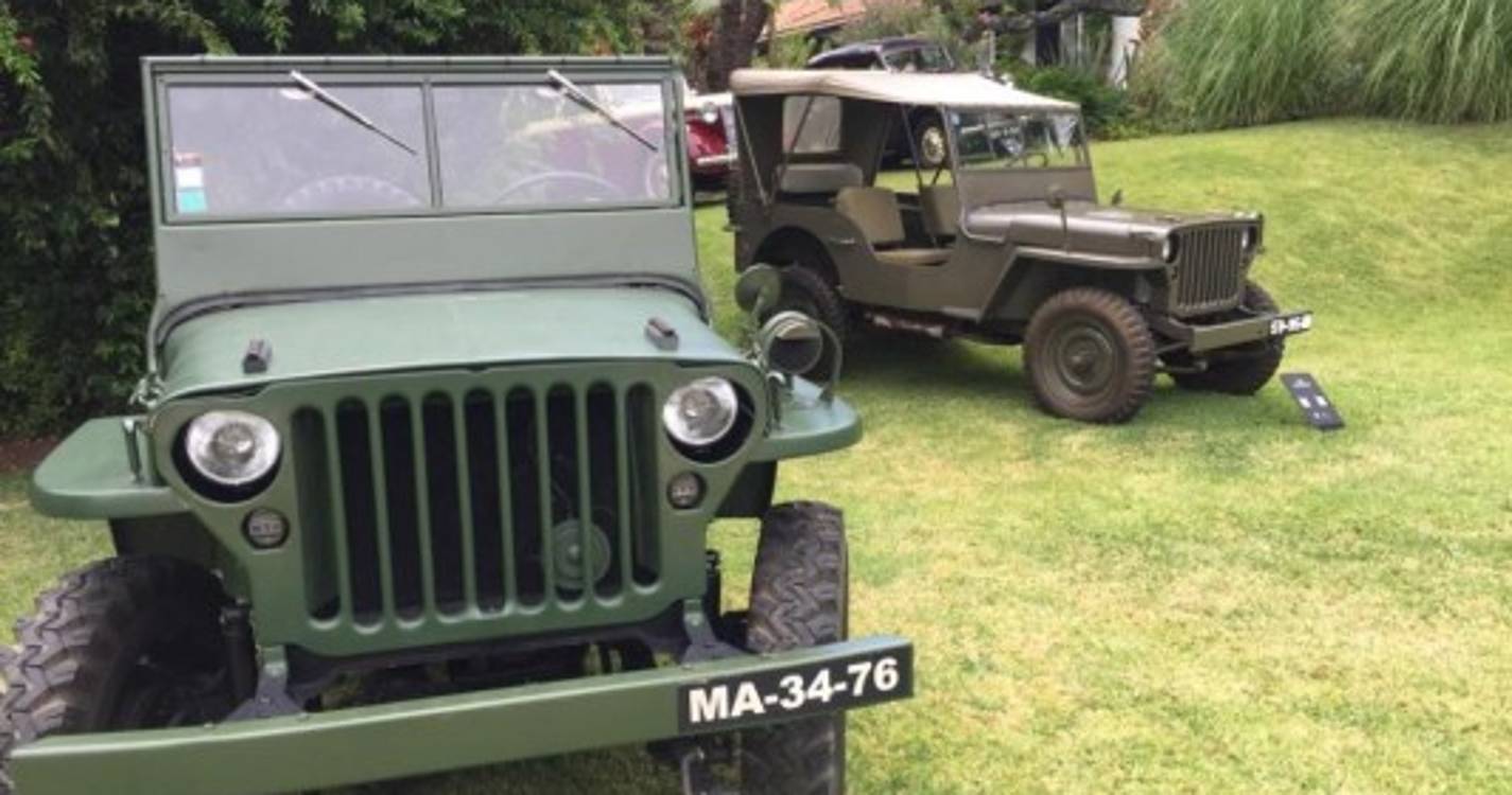 Veja as fotos da exposição 'Clássicos na Magnólia'