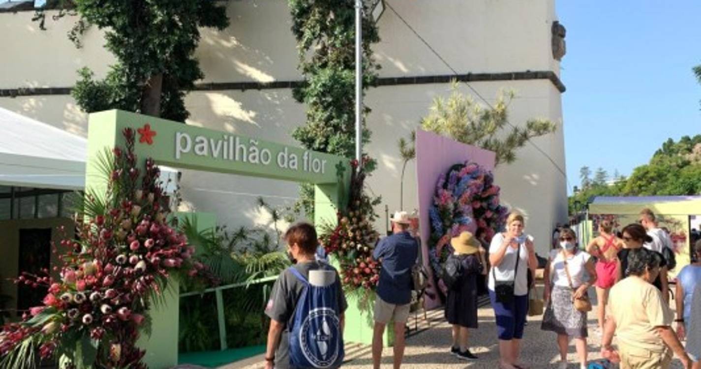 Avenida Arriaga transformada numa palete de cores que não deixa ninguém indiferente (com fotos)