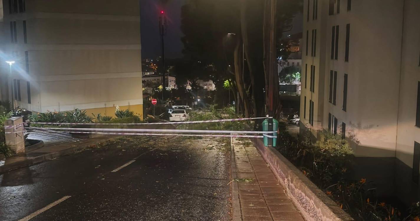Vento forte provoca queda de ramos e condiciona trânsito em Santo António