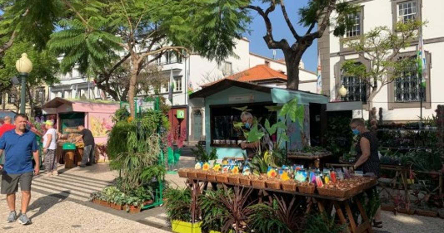 Avenida Arriaga transformada numa palete de cores que não deixa ninguém indiferente (com fotos)