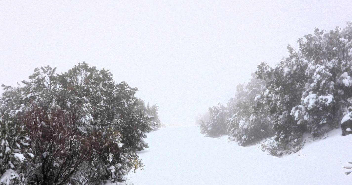 Possibilidade da neve continuar a cair esta sexta-feira