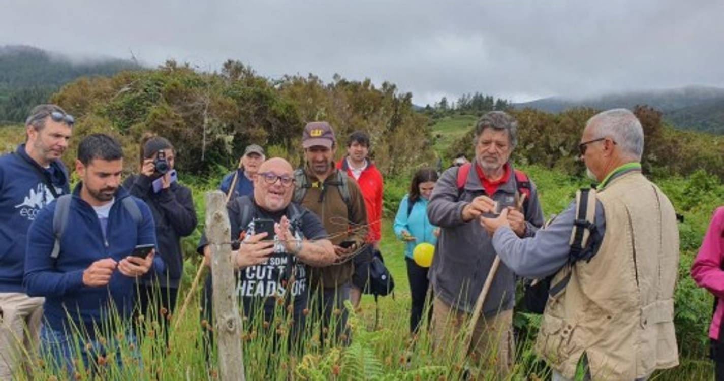 Caminhada pelo Caminho Real 24 com workshop de fotografia junta 30 participantes. Veja as imagens