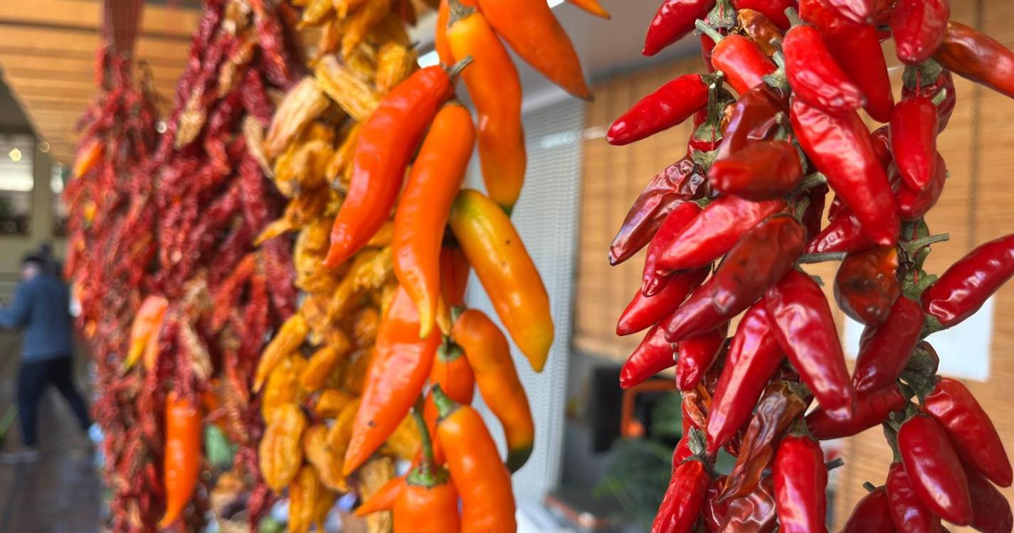 Veja as primeiras fotos do dia no Mercado dos Lavradores