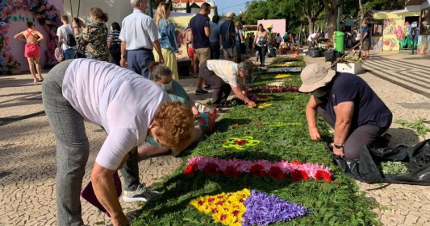 Avenida Arriaga transformada numa palete de cores que não deixa ninguém indiferente (com fotos)