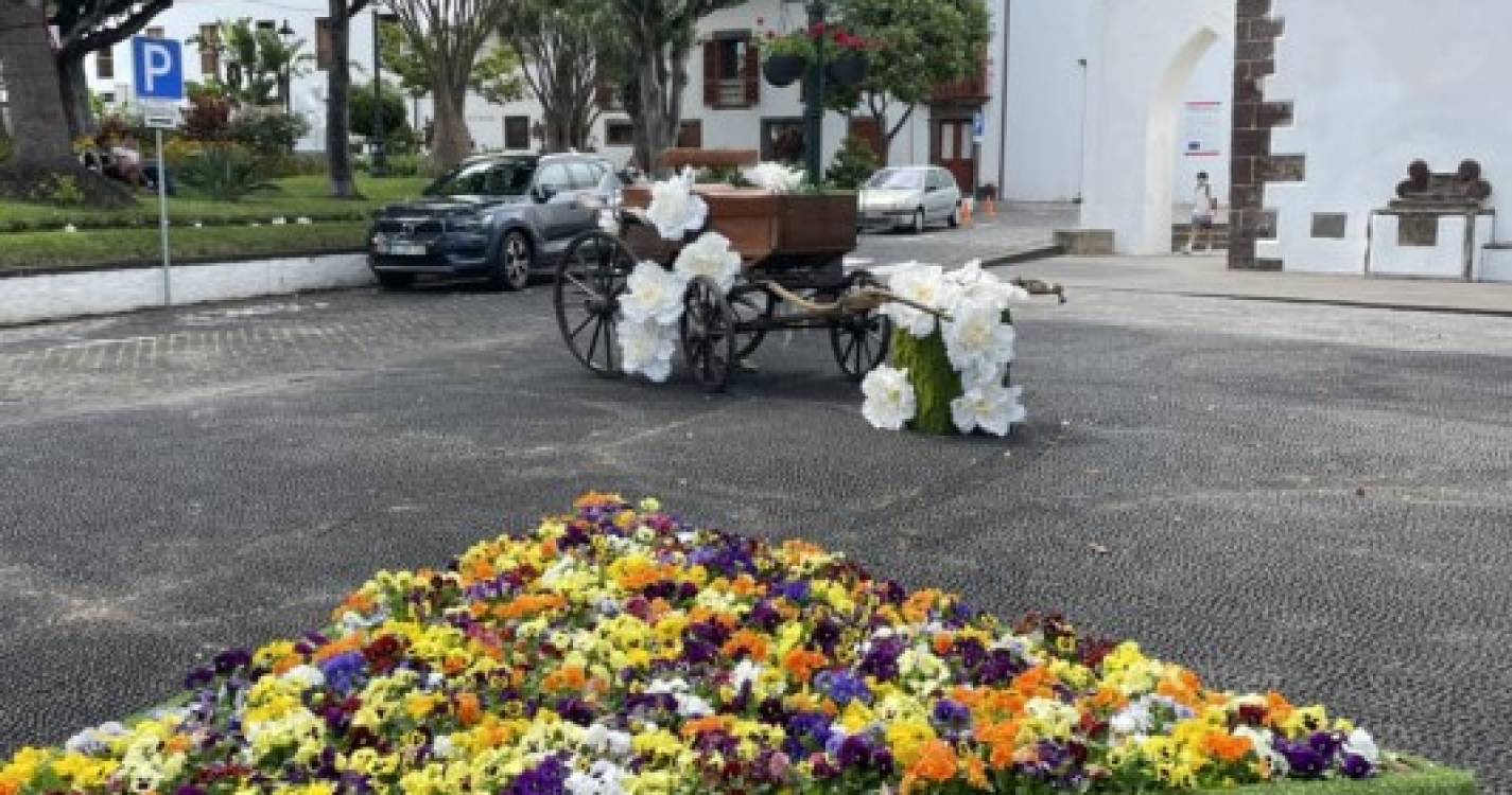 Veja como está a decorrer a Festa da Flor em Santa Cruz
