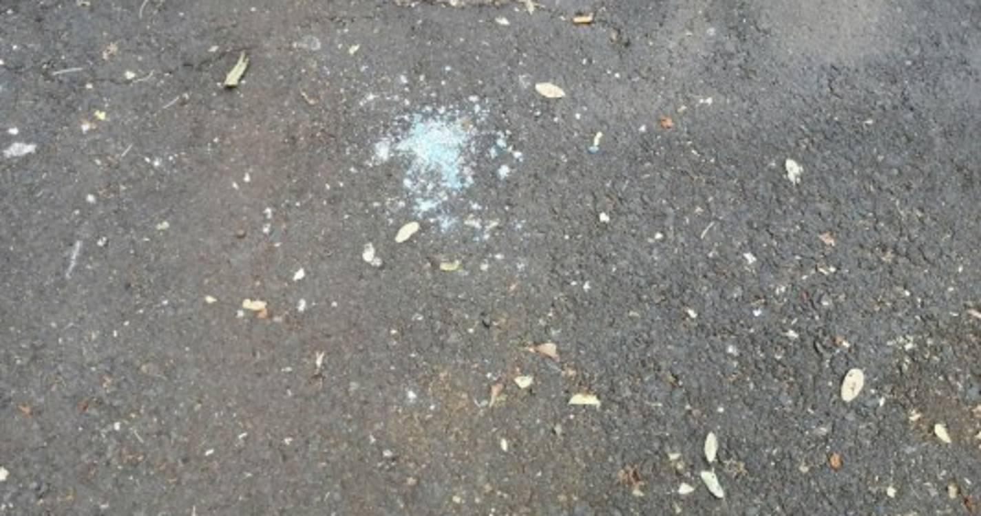 Pombos mortos na Nazaré deixa moradores revoltados (com fotos)