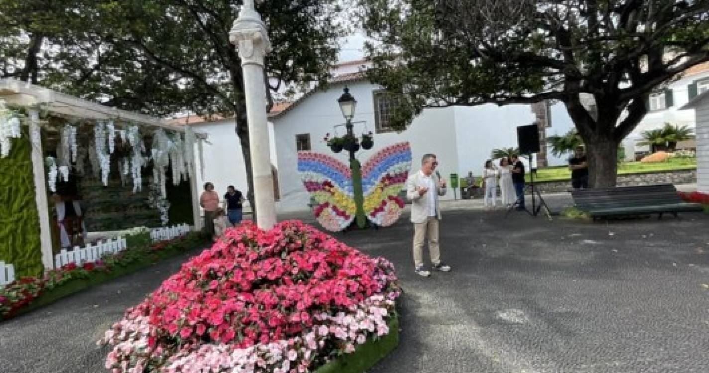Veja como está a decorrer a Festa da Flor em Santa Cruz