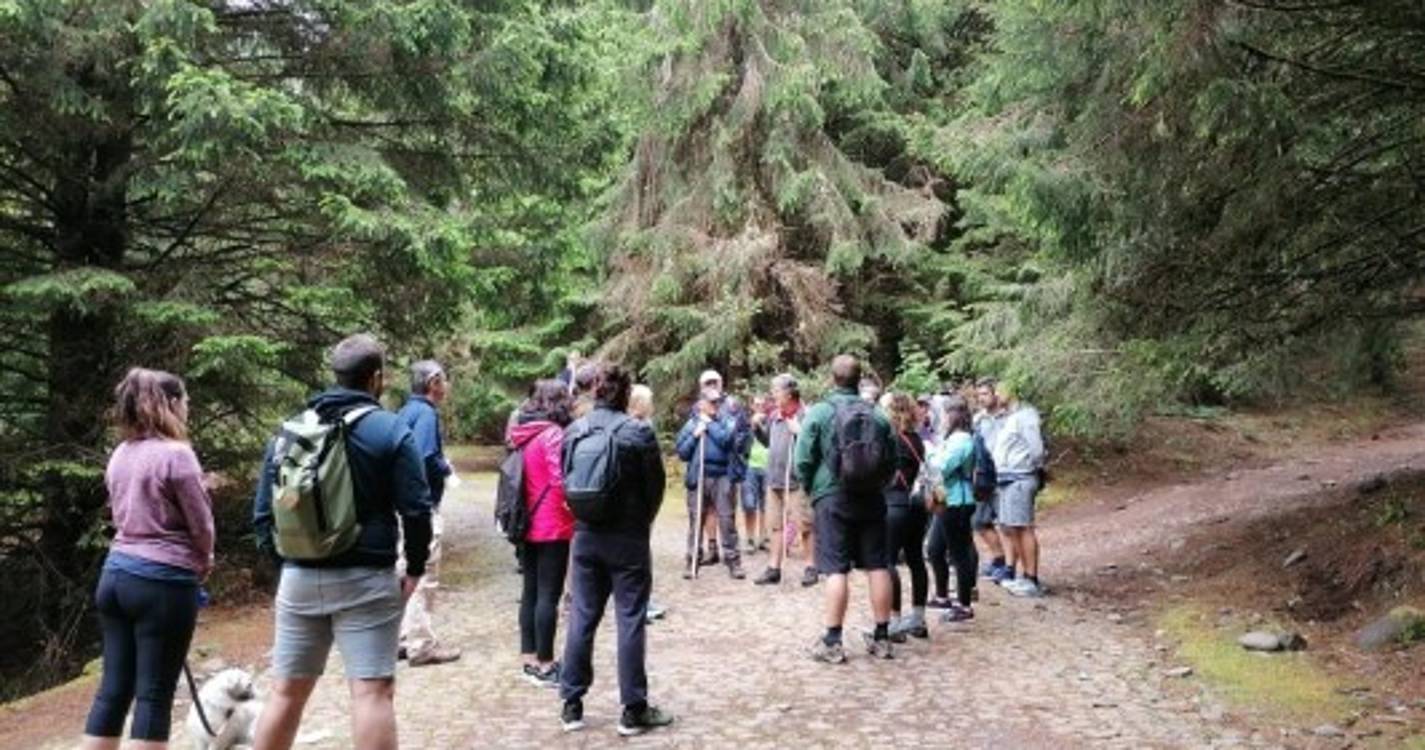 Caminhada pelo Caminho Real 24 com workshop de fotografia junta 30 participantes. Veja as imagens