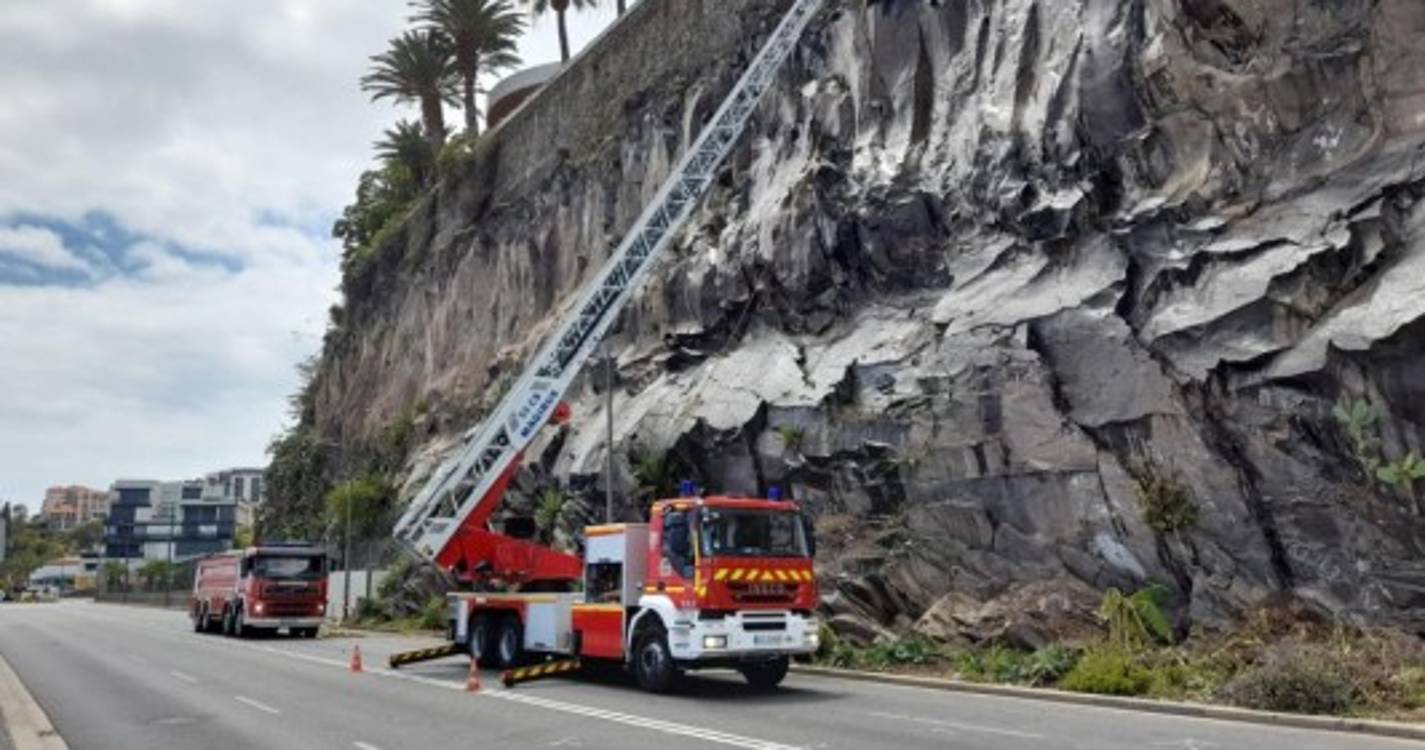 CMF acompanha limpeza de taludes