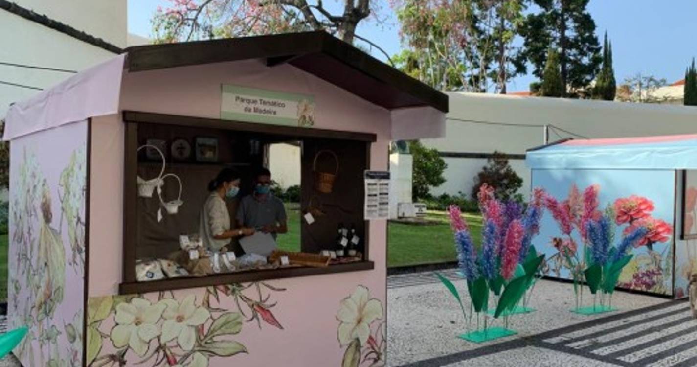 Avenida Arriaga transformada numa palete de cores que não deixa ninguém indiferente (com fotos)