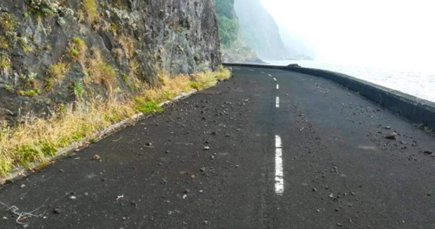 Antiga estrada regional no Seixal alvo de limpeza (com fotos)