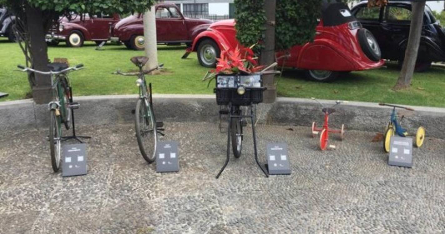 Veja as fotos da exposição 'Clássicos na Magnólia'