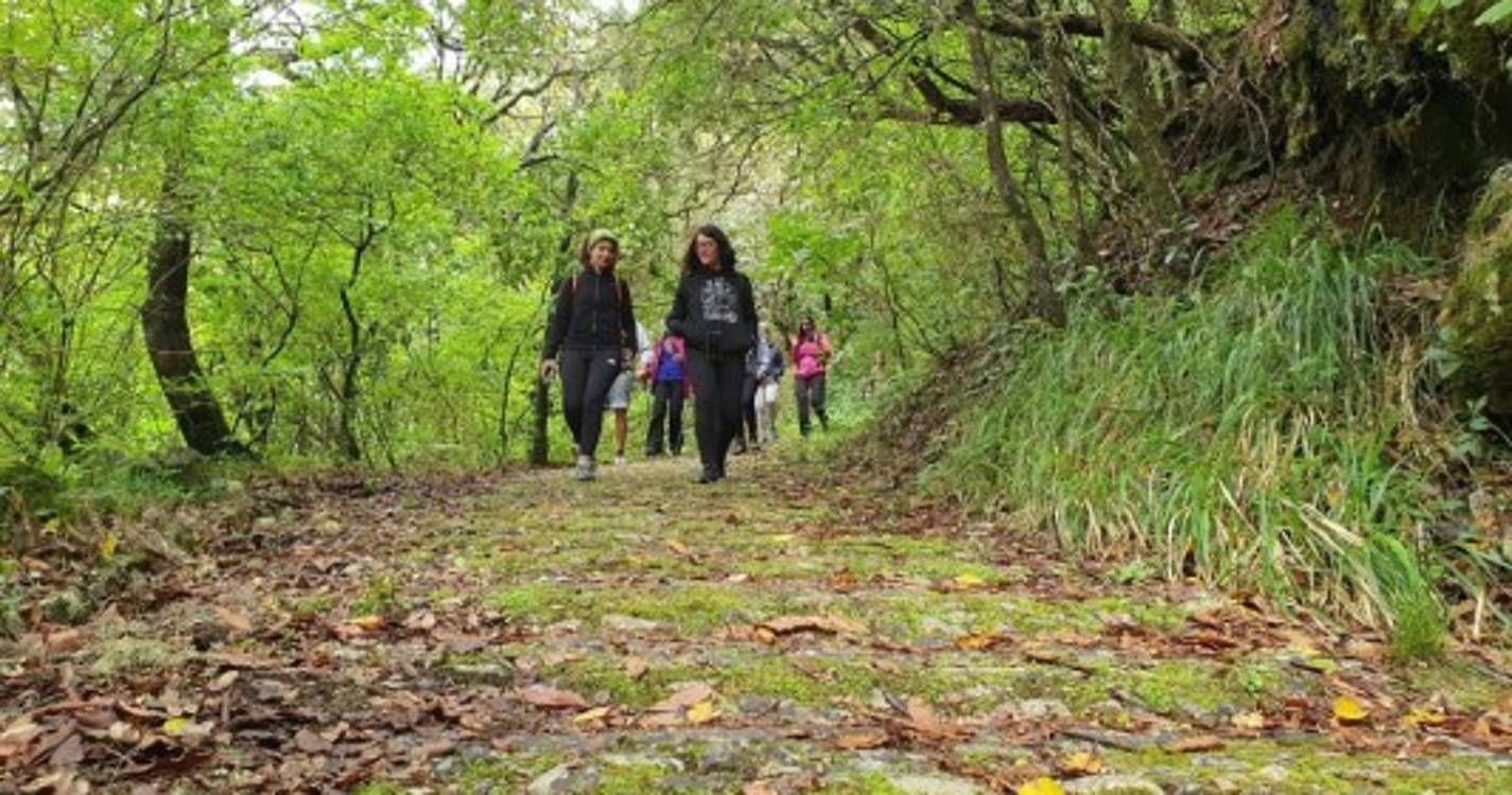 Caminhada pelo Caminho Real 24 com workshop de fotografia junta 30 participantes. Veja as imagens