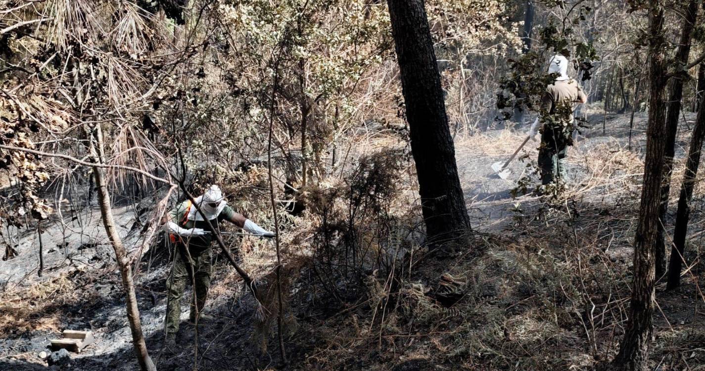 Incêndios: Mais de 190 militares da Marinha apoiam combate aos fogos desde maio