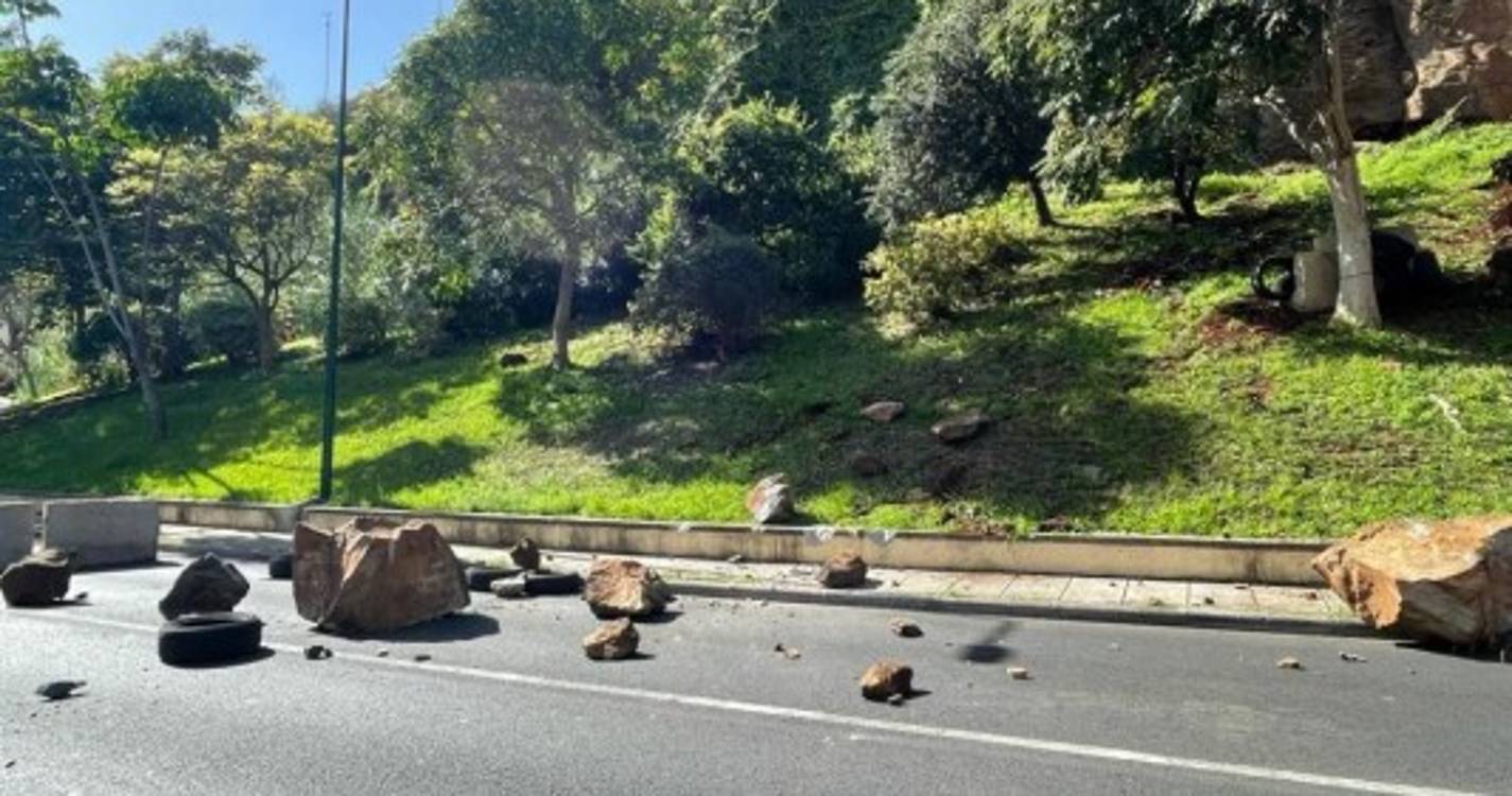 Queda de pedras controlada encerra estrada de acesso ao Tecnopolo (com fotos)