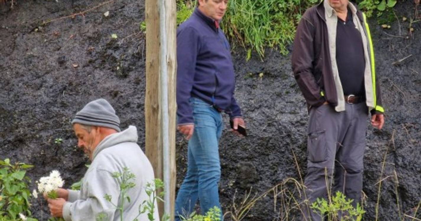 Associação do Caminho Real da Madeira celebra 6.º aniversário com caminhada (com fotos)