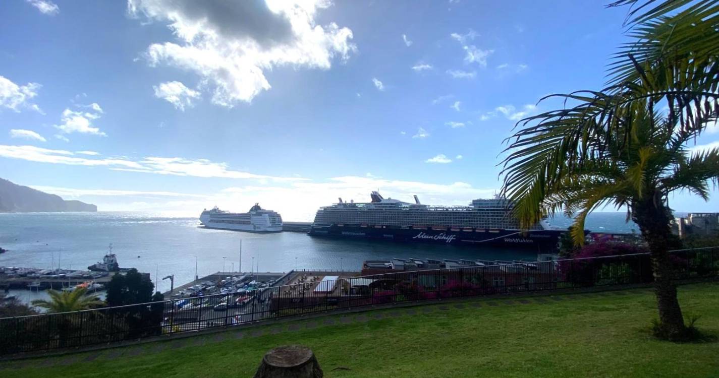 Porto do Funchal com dois navios, um em turnaround