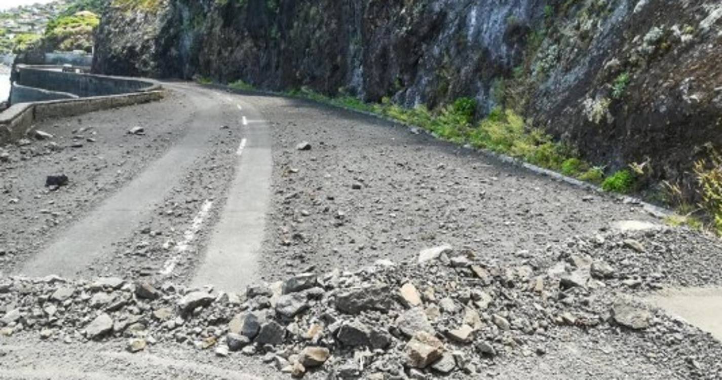 Antiga estrada regional no Seixal alvo de limpeza (com fotos)