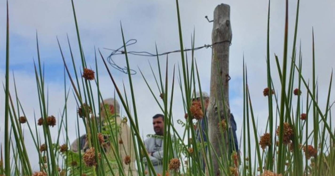 Caminhada pelo Caminho Real 24 com workshop de fotografia junta 30 participantes. Veja as imagens