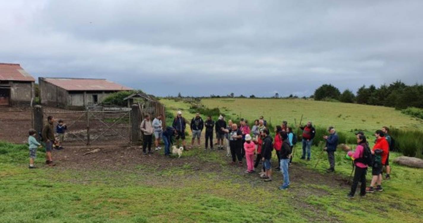 Caminhada pelo Caminho Real 24 com workshop de fotografia junta 30 participantes. Veja as imagens