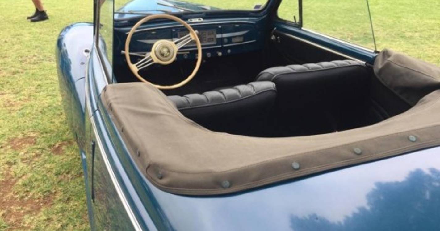 Veja as fotos da exposição 'Clássicos na Magnólia'