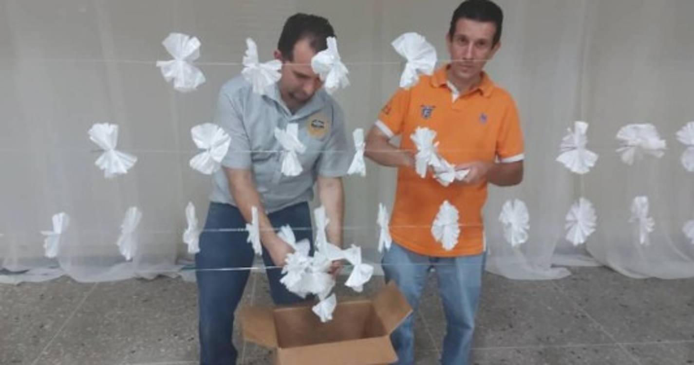 Tradições madeirenses renascem em Acarigua (com fotos)