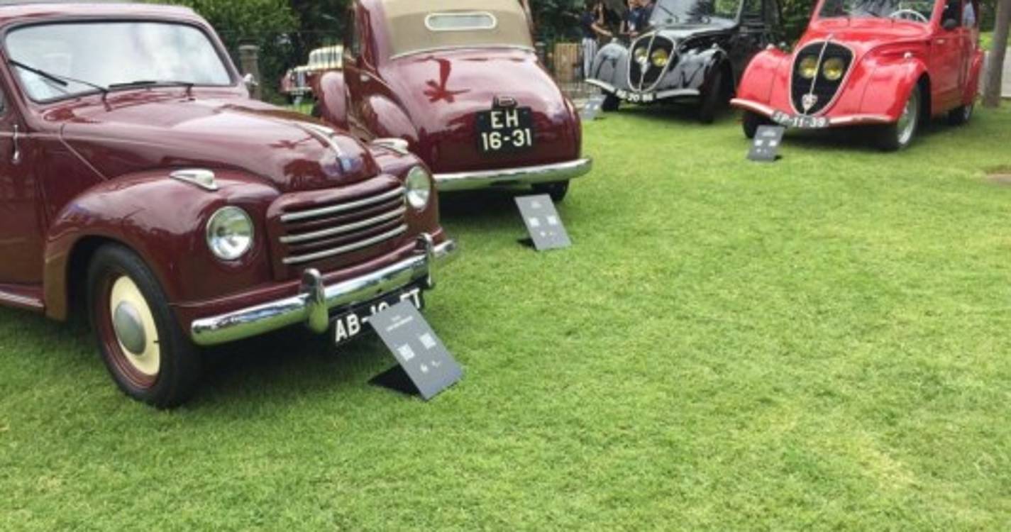 Veja as fotos da exposição 'Clássicos na Magnólia'